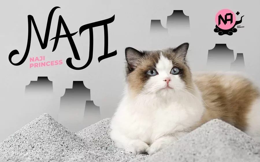 PURRIFIC gallery 5